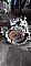  : FOCUS III 1_6  60000_ 32_